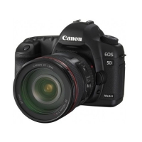 Canon EOS 5D Mark II body
